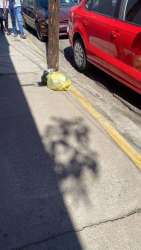 Photo of this report